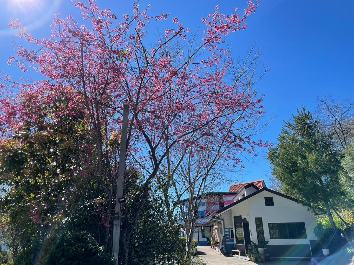 רן-איי Julie'S Garden, Cingjing - Fon Chin Homestay מראה חיצוני תמונה
