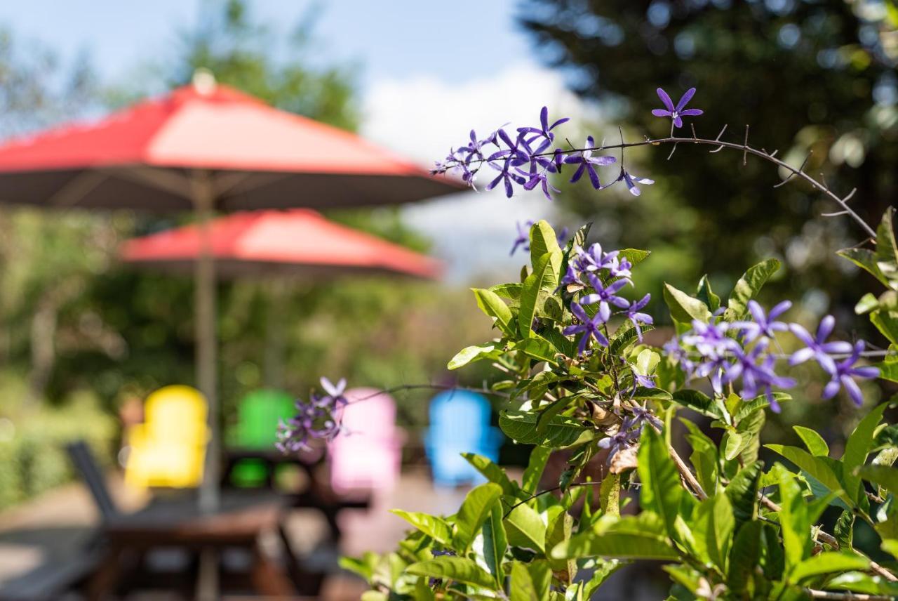 רן-איי Julie'S Garden, Cingjing - Fon Chin Homestay מראה חיצוני תמונה